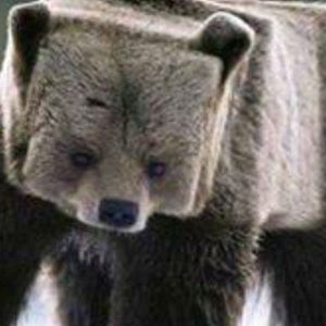 Meet your Posher, Xavier